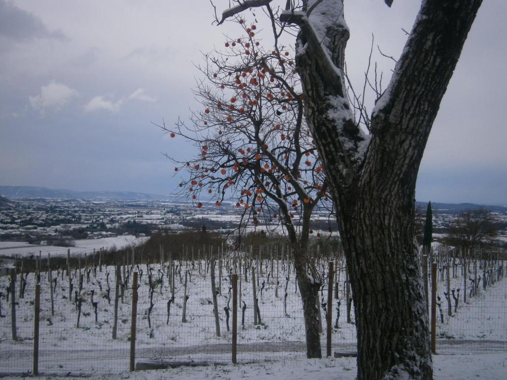 Le Badie Wine Resort Rosazzo Buitenkant foto